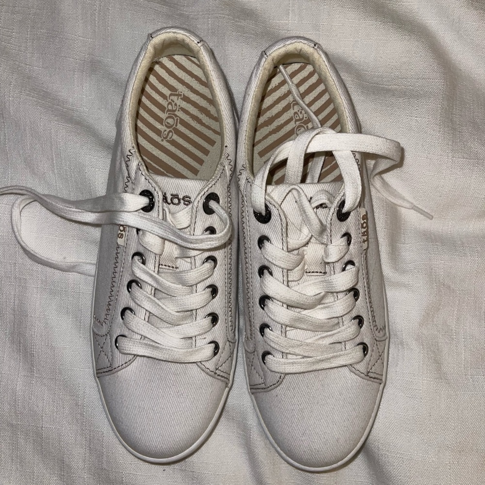 Taos white tennis shoes. Brand new, never worn.